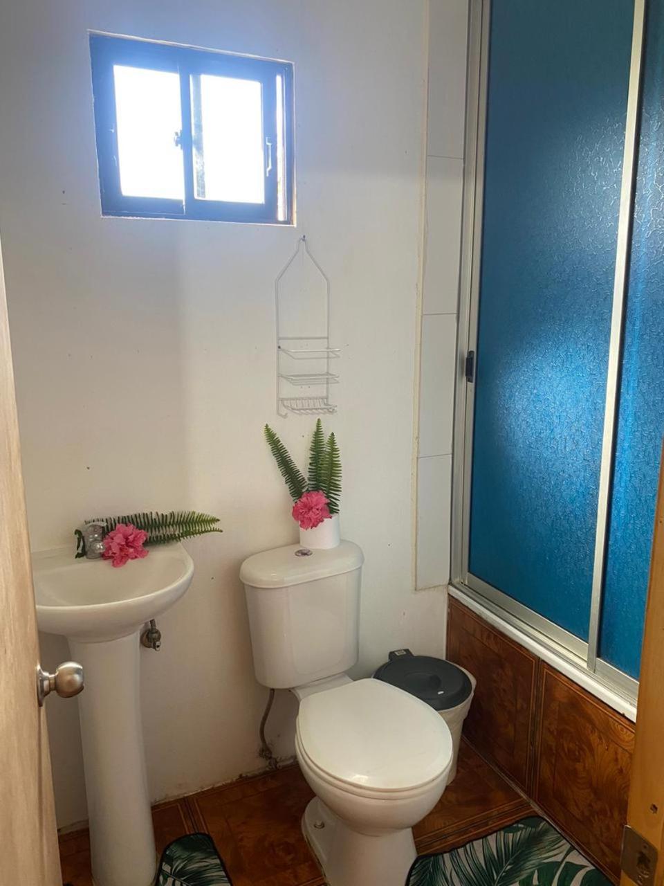 Pua Vaenga Hostel Χάνγκα Ρόα Εξωτερικό φωτογραφία